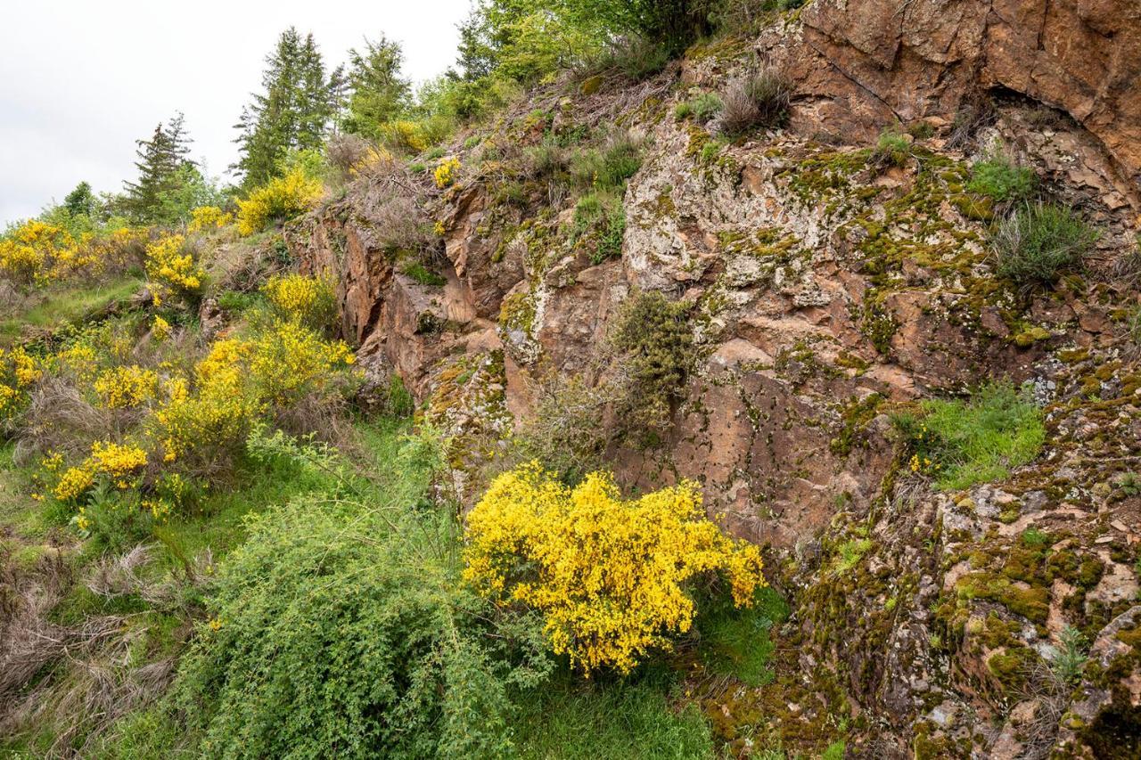 Moulin Des Comtes - Chambre Les Rochers Viverols エクステリア 写真