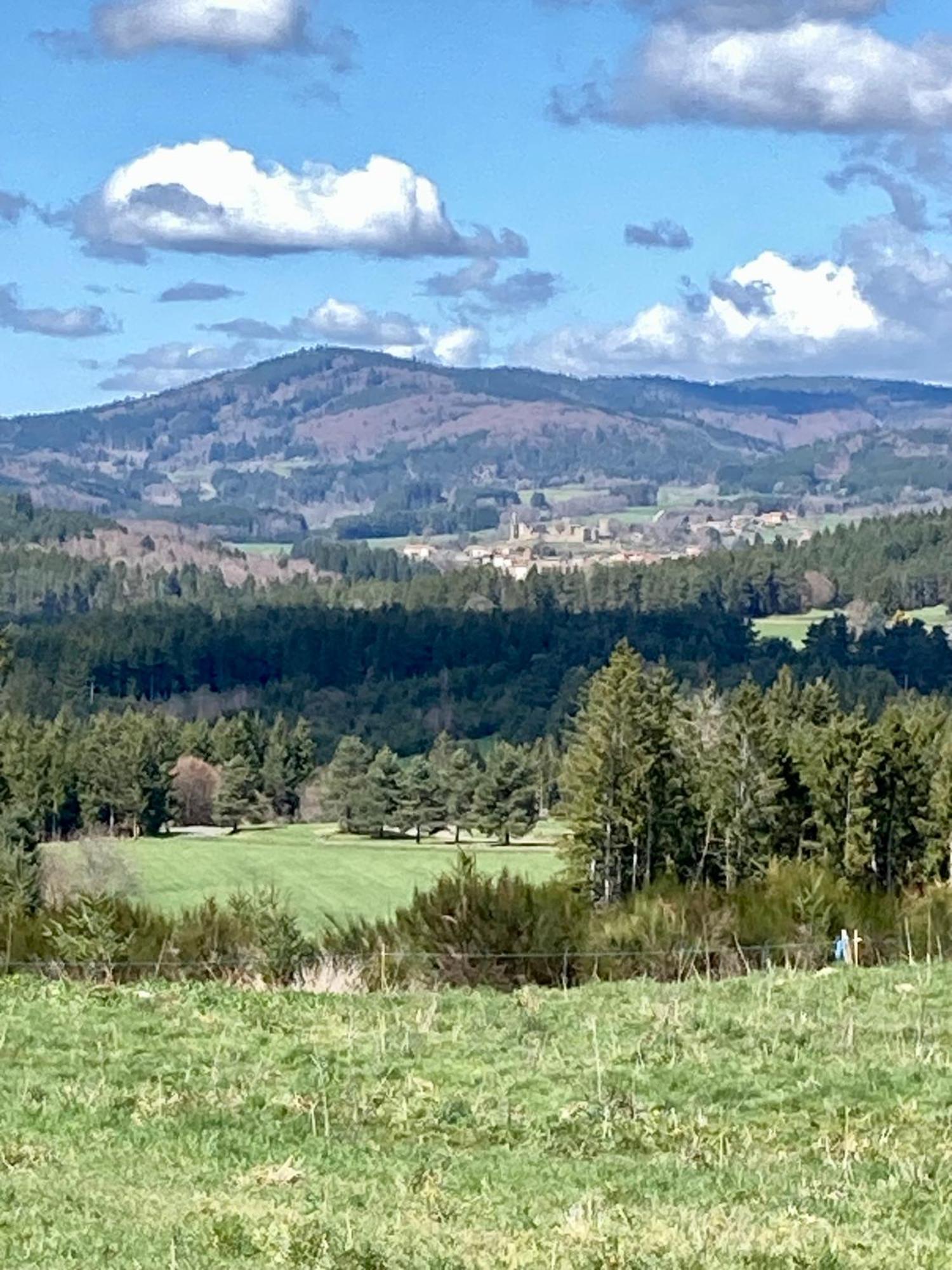 Moulin Des Comtes - Chambre Les Rochers Viverols エクステリア 写真